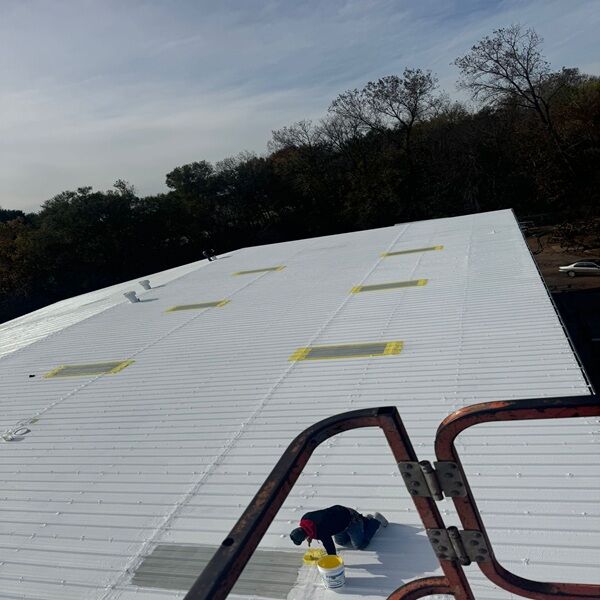 2024 1 image for sons gallery