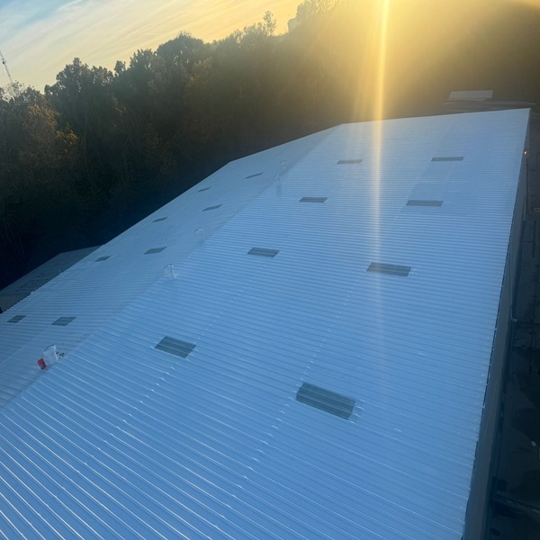 2024 2 image for sons gallery