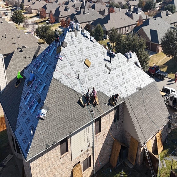 2024 5 image for sons gallery