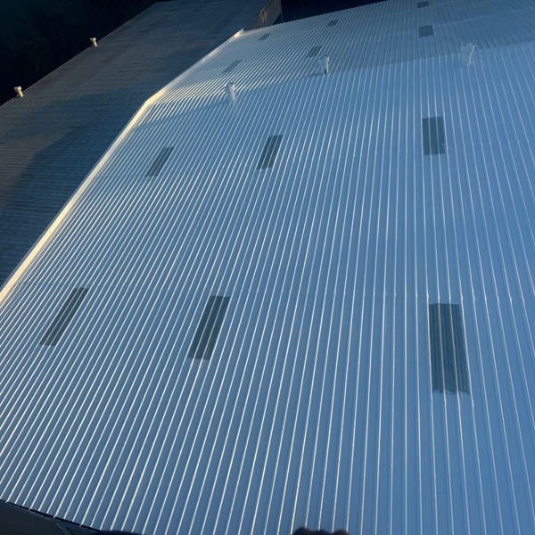 2024 8 image for sons gallery